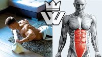 حرکات ورزشی بدنسازی در خانه fitness