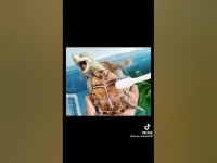 کلیپ خیلی خنده دار حیوانات ... کلیپهای خنده دار جدید هفته اول بهمن