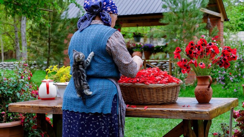 آشپزی روستایی آذربایجان - رایحه ای از بهار