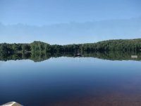 هارمونیکا اثر زیبای "بابک صفرنژاد"