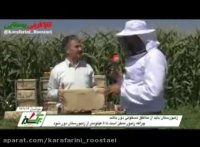 زنبوردار نمونه چگونه عمل می کند؟