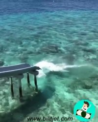 بلیط هواپیما