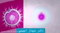 تفاوت بارداری طبیعی با IVF