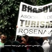 خرسی که درخیابان های رومانی سر درآورد