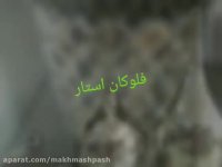 ساخت دستگاه ابکاری//فروش اموزش فرمول فاانتاکروم02156571497