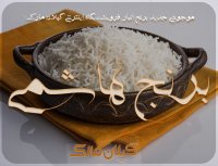 برنج هاشمی موجودی جدید گیلان مارک | اسفند 98