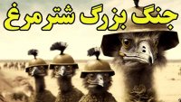 وقتی شترمرغ ها ارتش استرالیا را شکست می دهند!