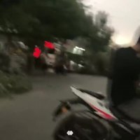 سقوط درخت در طوفان تهران