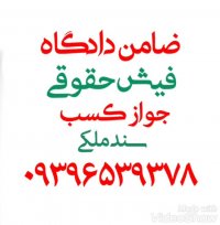 ضامن دادگاه و دادسرا (فیش حقوقی) ۰۹۳۹۶۵۳۹۳۷۸