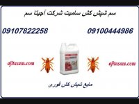 فروش سم شپش کش  بسیارقوی بدون بو تضمینی