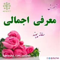 معرفی اجمالی  سامانه همسریابی پیوند