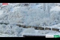 منظره زیبا برفی صبح امروز در پل‌سفید سوادکوه