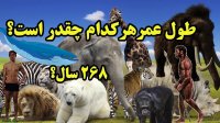 دی ان ای راز طول عمر موجودات حال و گذشته زمین را برملا کرد!
