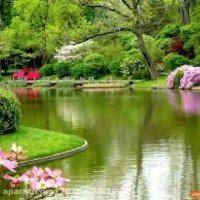 موسیقی اصیل - دو سه شبه که چشمام به در-خواننده علی سیار