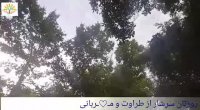 طبیعت زیبای طالقان