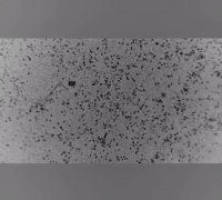 ویروس کرونا چگونه رشد می کند؟