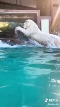 زندگی با حیوانات وحشی