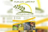 کارخانه شالیکوبی برادران جعفرزاده