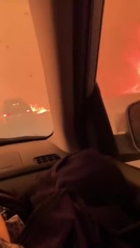 مردم آمریکا در میان آتش