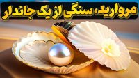 دریا صدف و سنگ گران بهای مروارید!