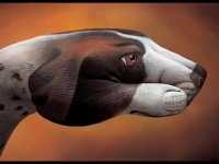 نقاشی روی دست