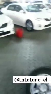 عربهای امارات اینگونه ایرانی ها را تلکه می کنند و فریب می دهند!