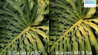 مقایسه دوربین گوشی های Galaxy A50 و Xiaomi mi9 SE