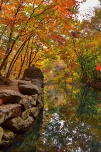 کلیپ کوتاه پاییزی اینستا 3