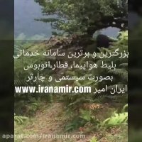 جنگل های زیبای شمال