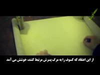 خورشید گرفتگی با کسوف در زمان پیامبر