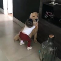 داره باهاش خداحافظی می کنه قبل سفر