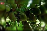 دکتر اسفندیار جلیل زاده / متخصص پیشگیری