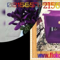 طراح و سازننده دستگاه مخمل پاش