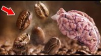 قهوه چه تاثیراتی بر روی بدن دارد؟ حقایق پنهان قهوه!