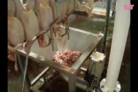 پمپ وکیوم کشتارگاه (وکیوم آسیا 66791775 - 021)