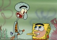 باب اسفنجی جدید 26