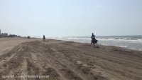 تور  سوارکاری ساحل دریا
