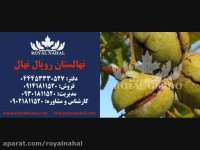 ارقام نهال گردو 09141811520