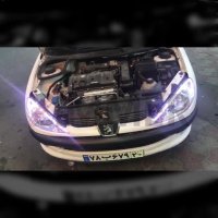 دیلایت فلکسیبل