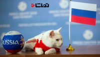 پیش بینی حیوانات در جام جهانی !