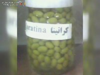 تکتیر و پرورش ارقام شناسه دار نهال زیتون در رشت