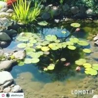 طراحی و اجرای آبنما و محوطه سازی باغ و ویلا برای آرامش ذهن و روحی شما خواهد بود 09124026545