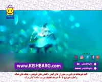 ساعت غواصی،اسکوبا غواصی در کیش،لوازم غواصی،غواصی ارزان در کیش