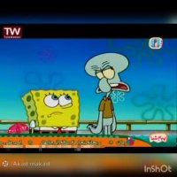 کارتون باب اسفنجی و پاتریک-انیمیشن باب اسفنجی و پاتریک-باب اسفنجی جدید