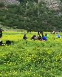 حمله گردشگران به دشت دریاسر شمال!