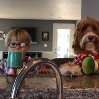 وقت صبحونه رسیده