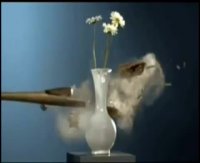 دنیای وارونه