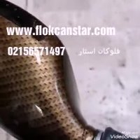 هیدروگرافیک طرح کربن/فروش فیلم هیدروگرافیک