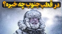 در قطب جنوب این سردترین قاره جهان چه میگذرد؟