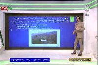 تدریس توسعه برنامه سازی و پایگاه داده پایه یازدهم فنی حرفه ای - دوشنبه 19 اسفند